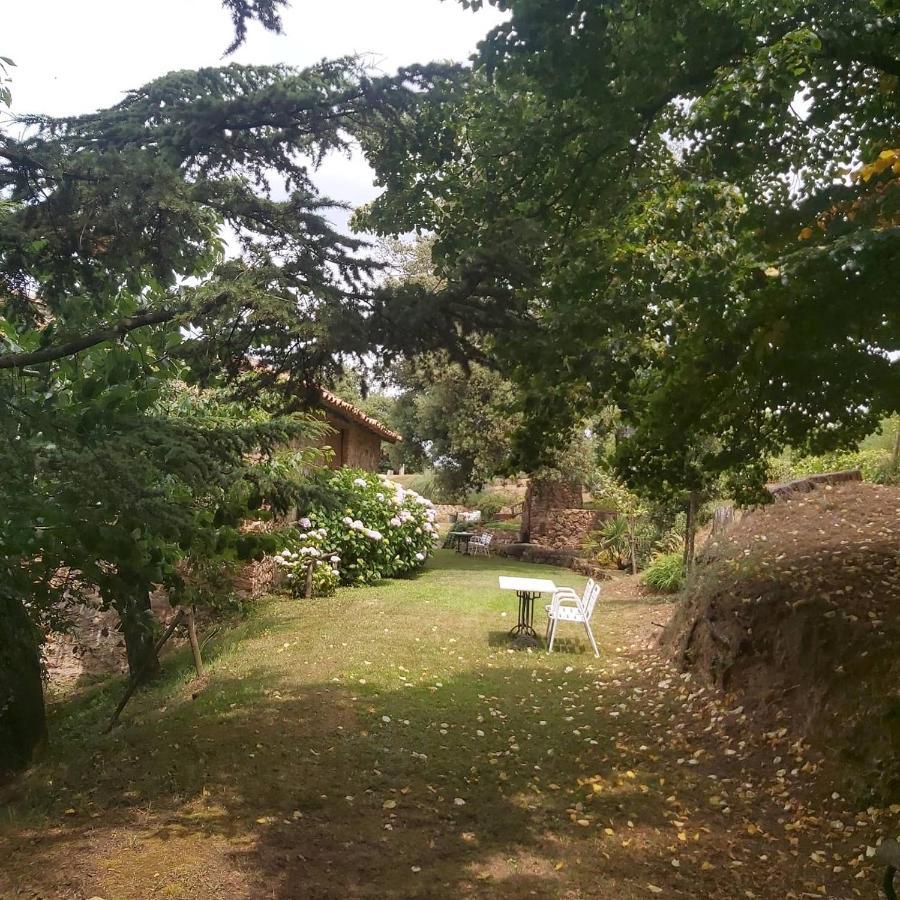 Affittacamere Mas Cal Sastre Sant Hilari Sacalm Esterno foto