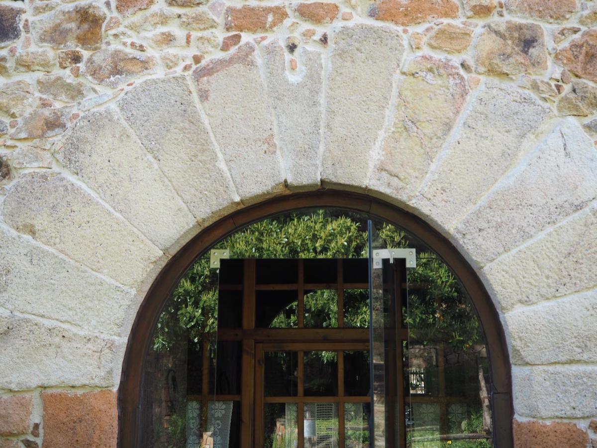 Affittacamere Mas Cal Sastre Sant Hilari Sacalm Esterno foto