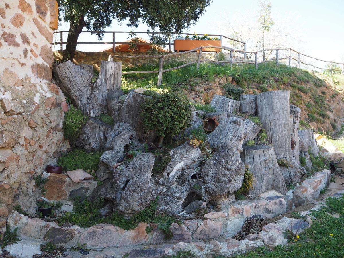 Affittacamere Mas Cal Sastre Sant Hilari Sacalm Esterno foto